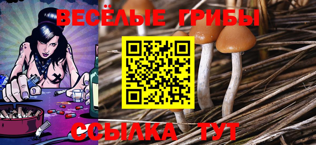 Соль-Илецк  Галлюциногенные грибы MAGIC MUSHROOMS  Вход с VPN 