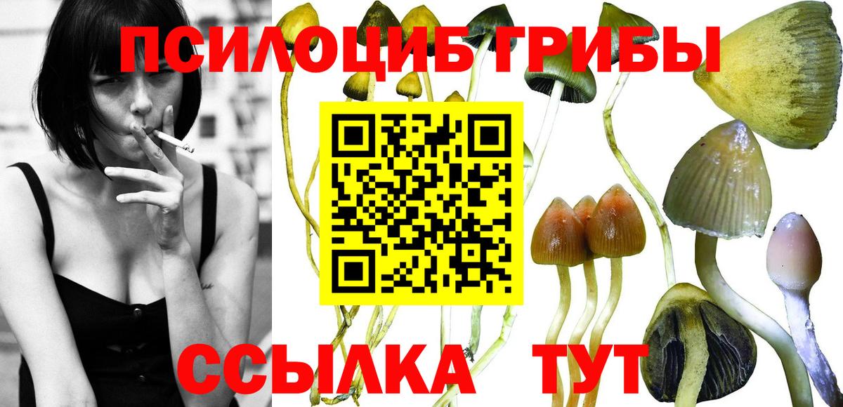 Псилоцибиновые грибы мицелий Соль-Илецк