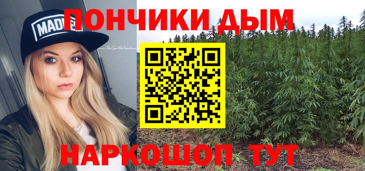 Шишки марихуана SATIVA & INDICA Соль-Илецк
